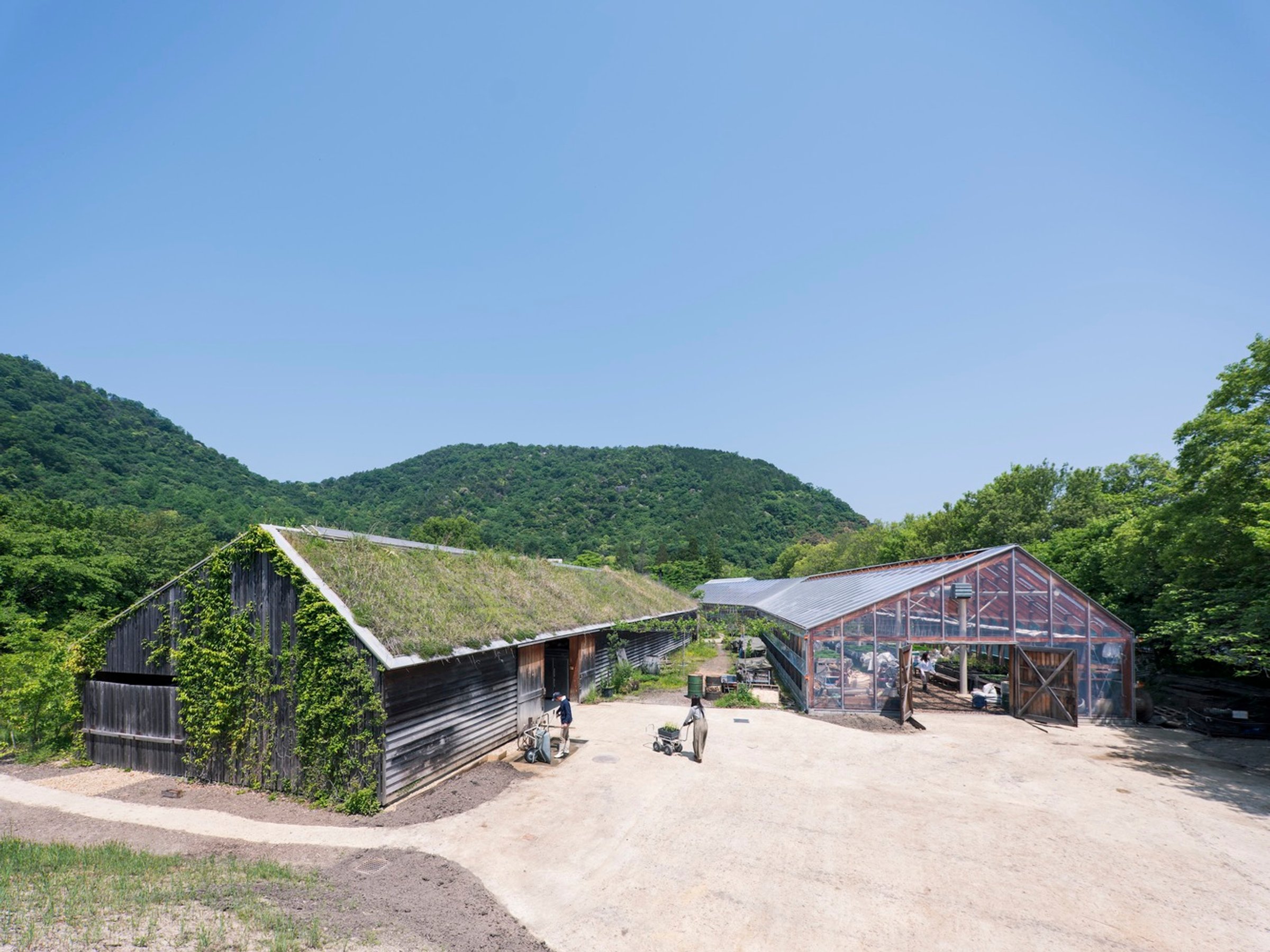 Candy Farm: A Harmonious Blend of Architecture and Nature