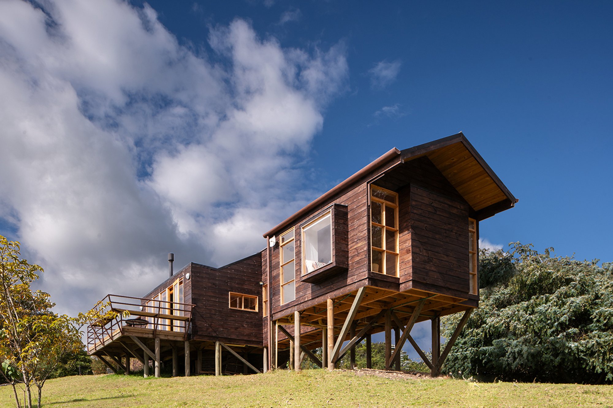 Wills House: A Harmonious Blend of Architecture and Nature by Yemail Arquitectura