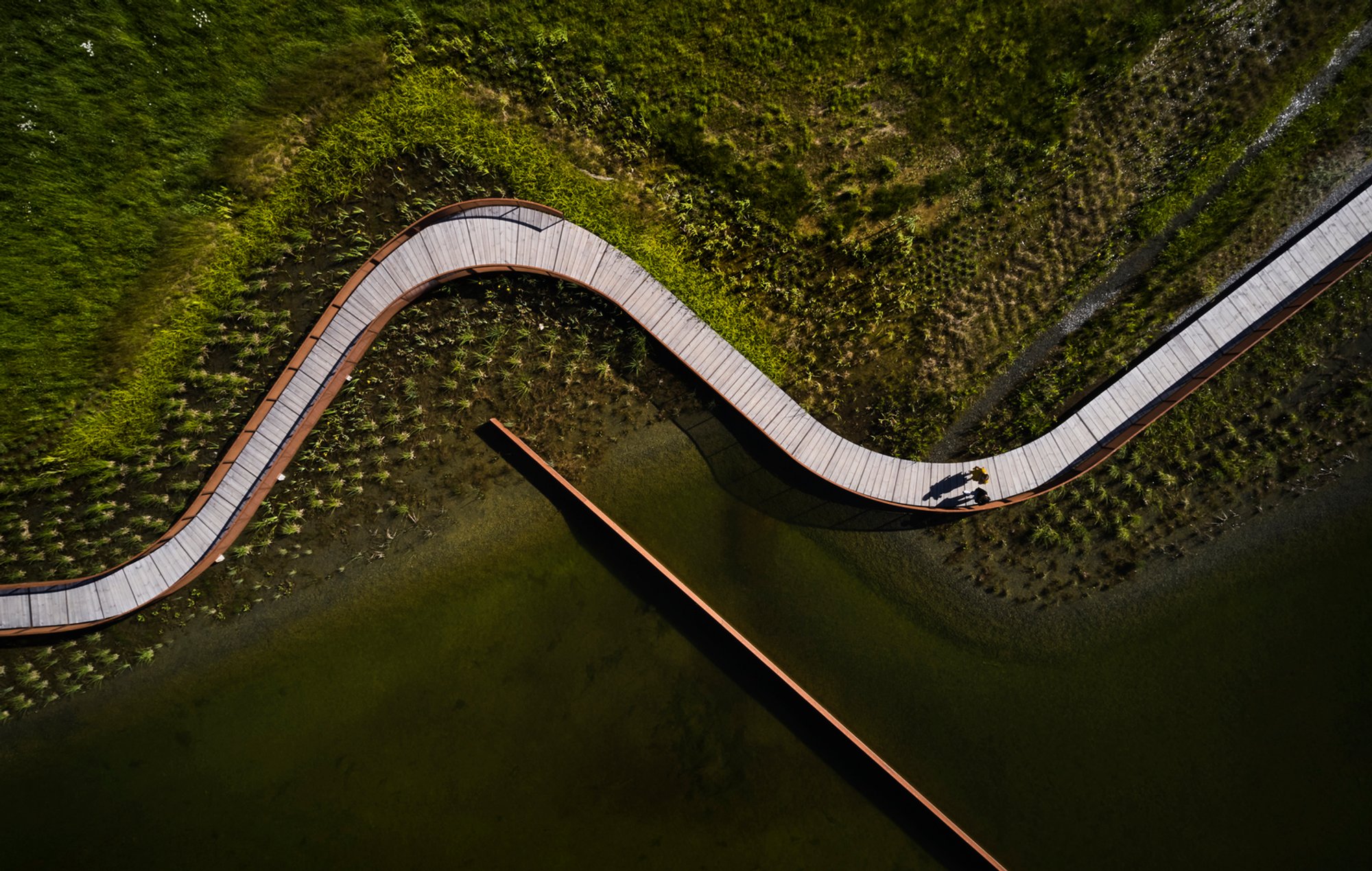 Stormwater Pond at Exercisfältet: A Sustainable Urban Solution by White Arkitekter