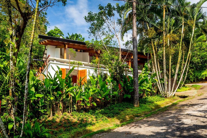 Two-story residence with timber overhangs and white walls nestled among tropical palms and dense vegetation