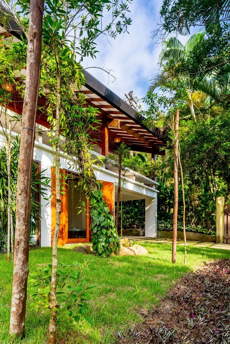 Corner of timber pergola structure with climbing vines among young palms and garden beds