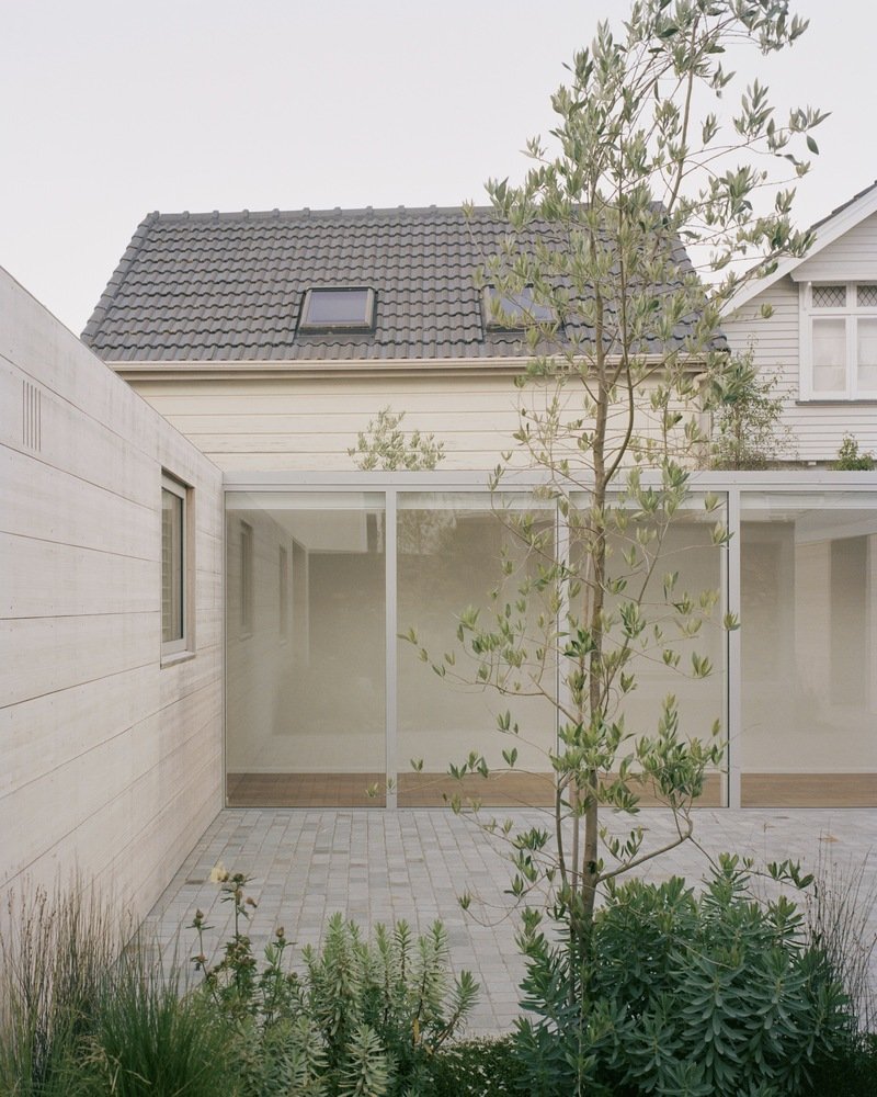 Internal courtyard with brick pavers, planted olive tree, and glazed gallery connecting two volumes