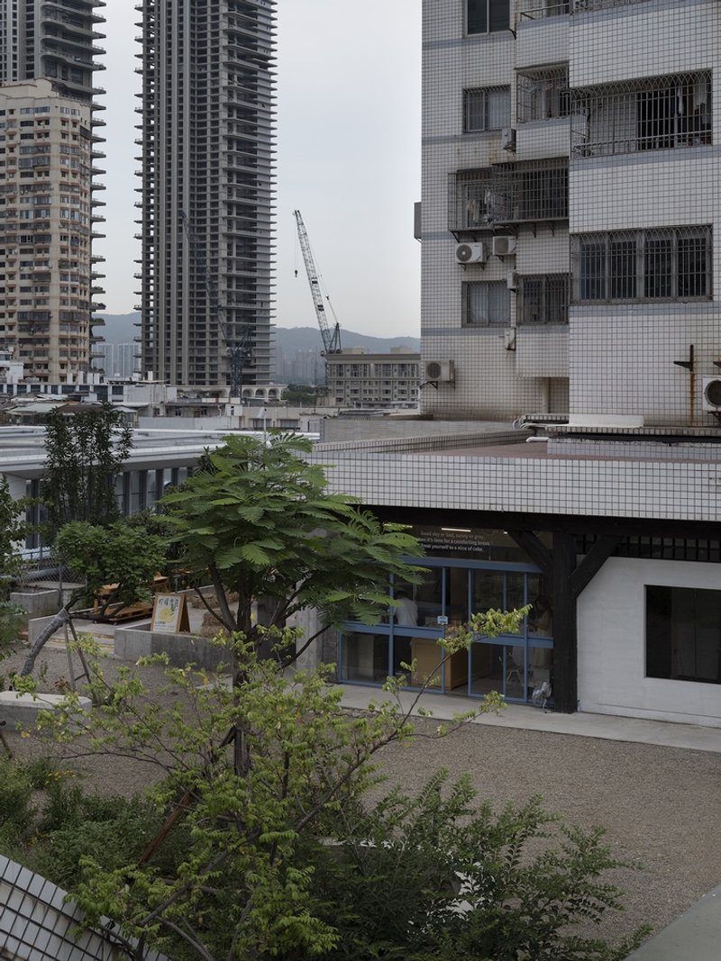 Rooftop garden with young trees and shrubs adjacent to white tiled overhang and residential towers beyond