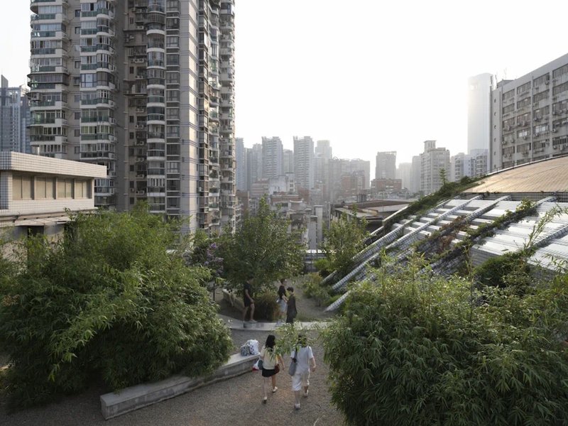 Rooftop garden with gravel pathways and planted terraces beneath residential tower blocks in hazy daylight