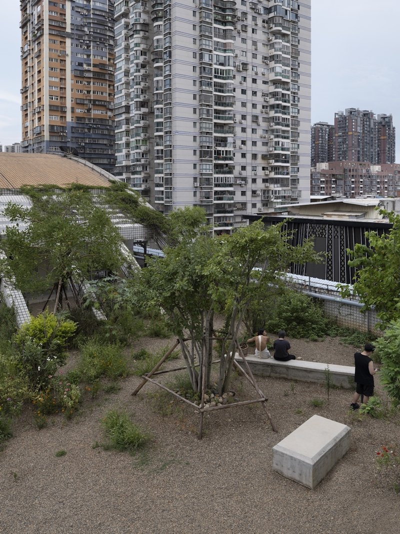 Rooftop courtyard with planted trees and concrete benches surrounded by residential tower blocks