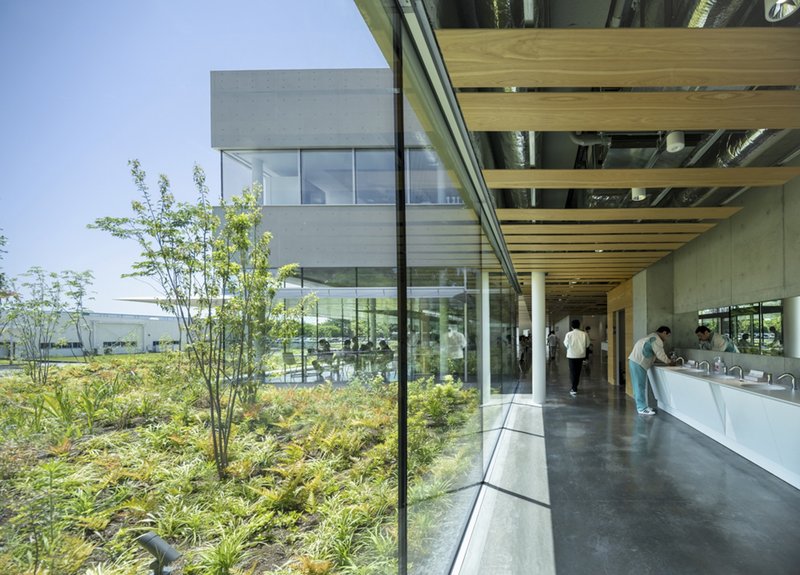 Interior corridor with floor-to-ceiling glass overlooking planted courtyard and timber ceiling beams with exposed ducts