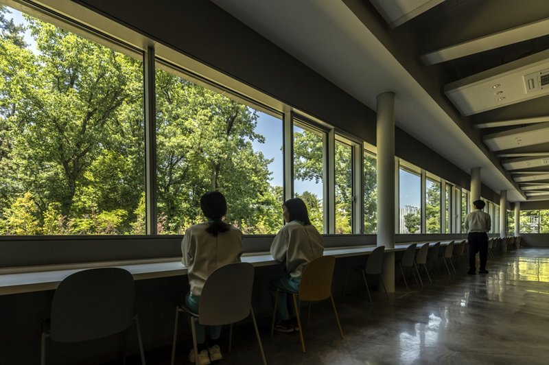 Long reading counter along window wall with two people seated looking toward forest