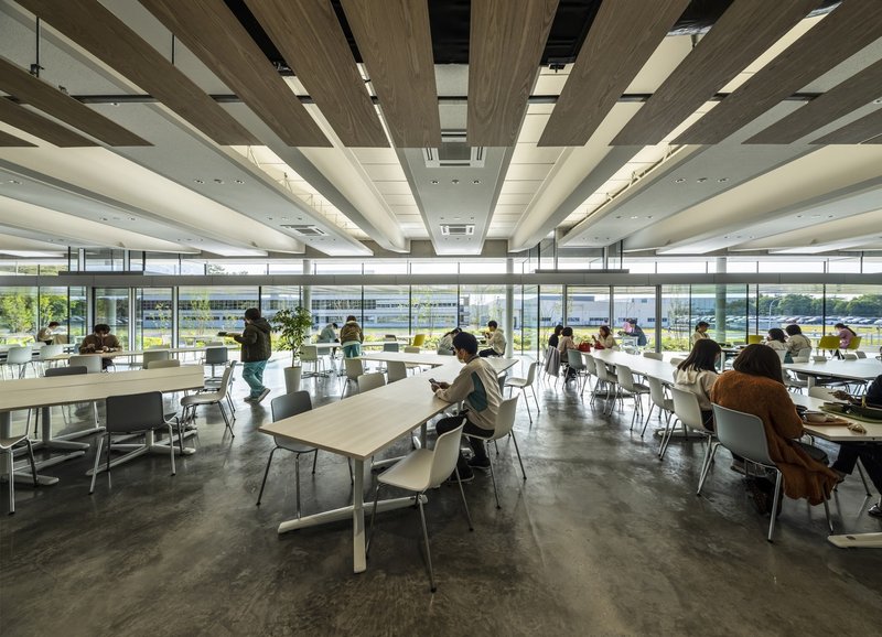 Cafeteria interior with alternating timber and white ceiling beams and people seated at tables by floor-to-ceiling windows