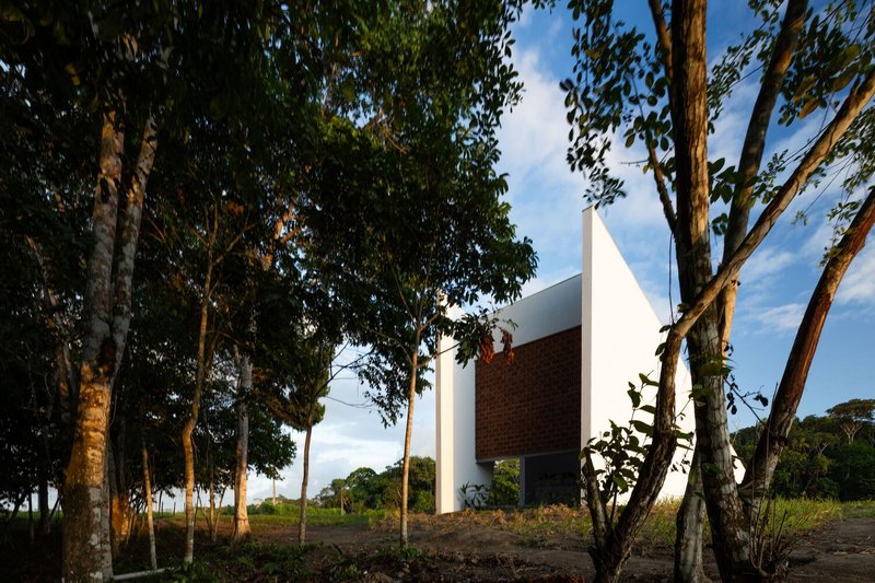 White sculptural volume with brick screen panel rising among eucalyptus trees at golden hour