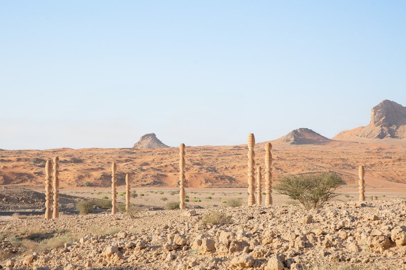 Line of stacked timber columns stretching across the rocky desert landscape with sparse vegetation