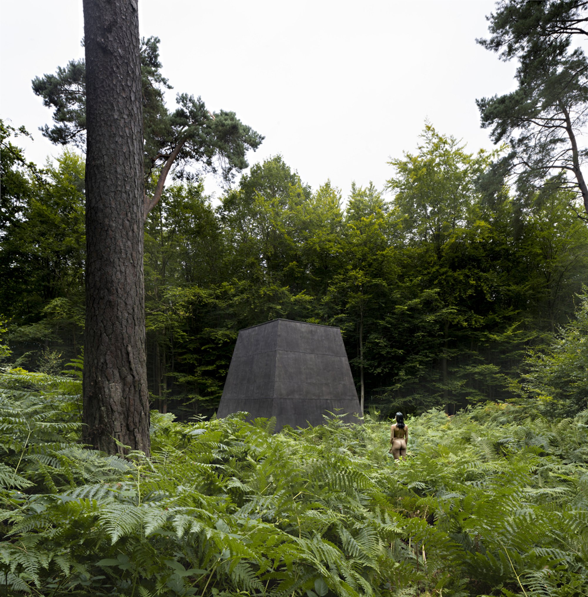 P+S Estudio de Arquitectura Builds a Concrete Impluvium in a Spanish Pine Forest
