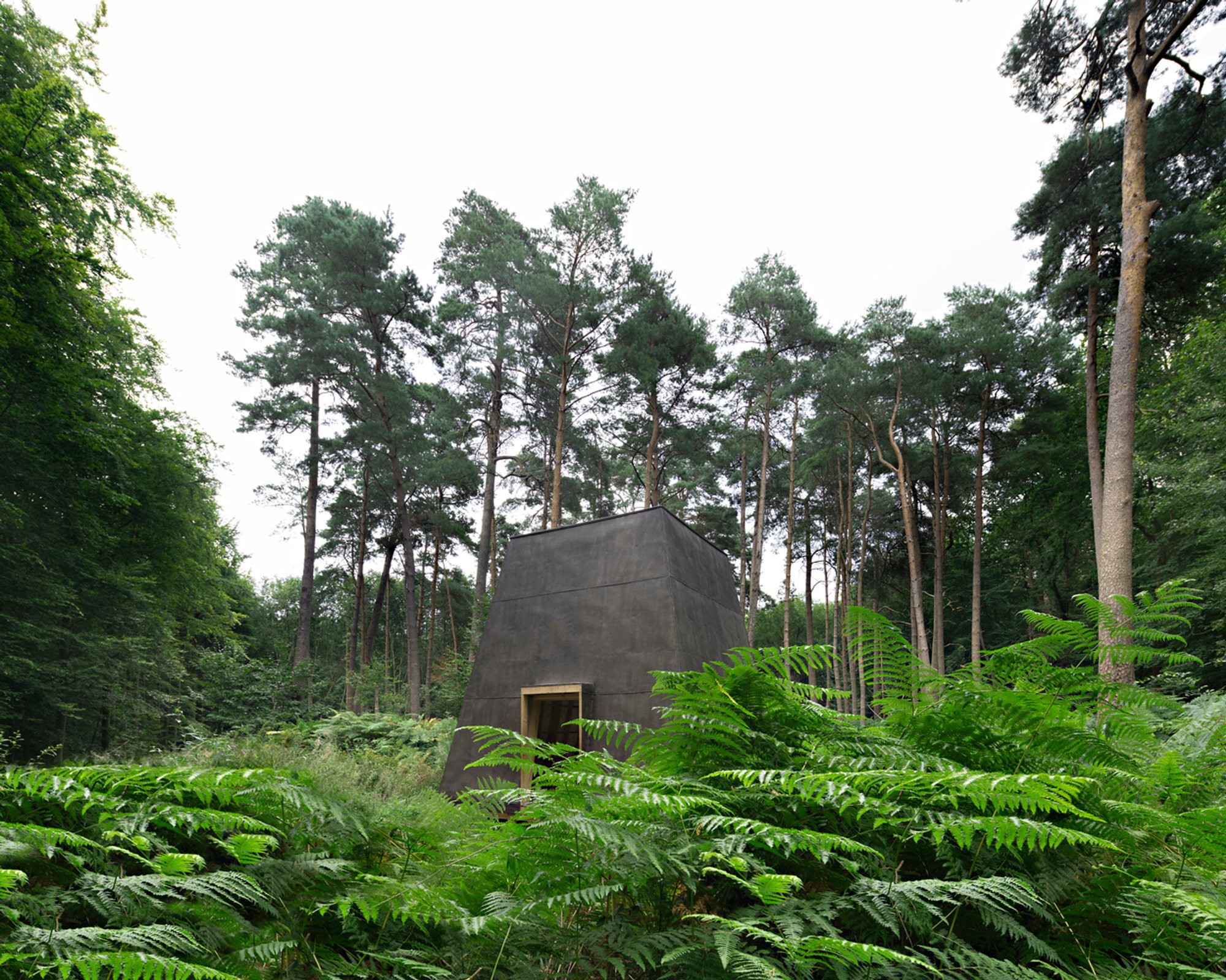 COMPLUVIUM Pavilion: A Masterclass in Pavilion Architecture and Material Innovation