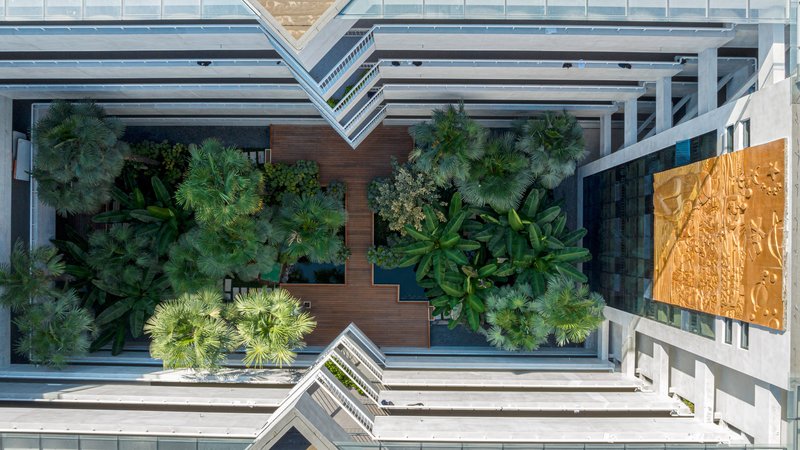 Overhead view of a rooftop garden with timber decking and planted palms between glass towers