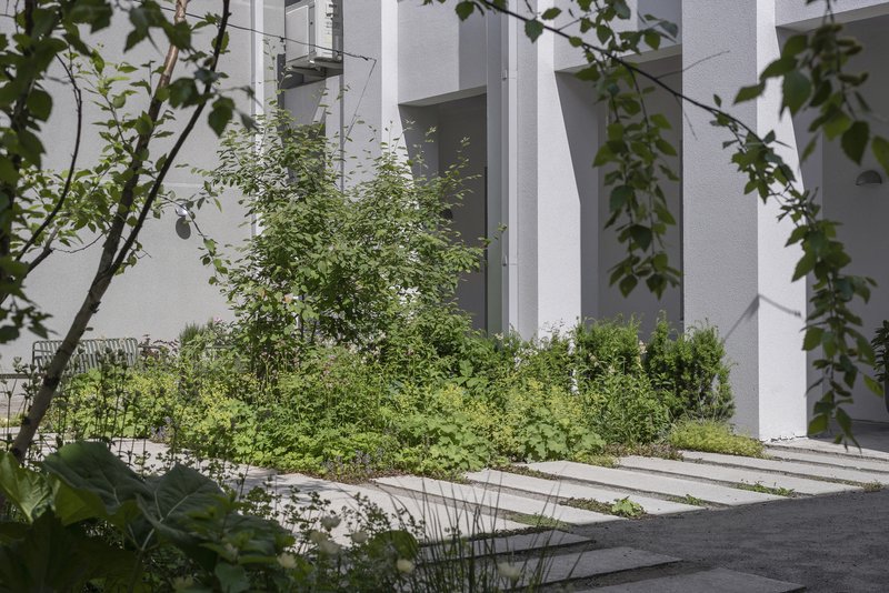 Planted bed with young trees and groundcover between concrete paving slabs and white facade columns