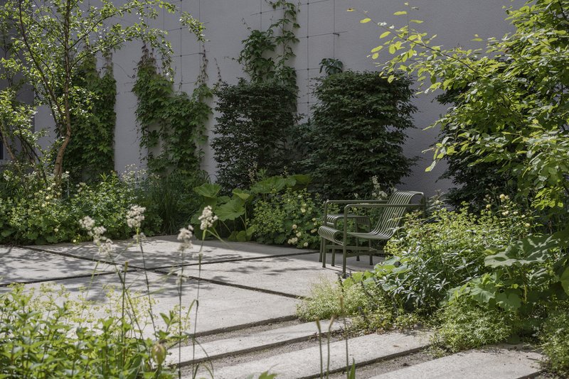 Courtyard steps descending through dense planting beds with climbing vines on the dark wall beyond