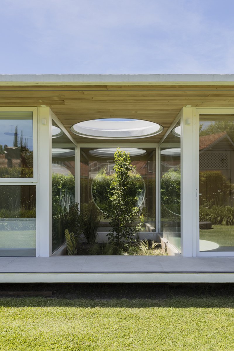Glazed entrance pavilion with circular skylight framing a planted courtyard tree under timber ceiling