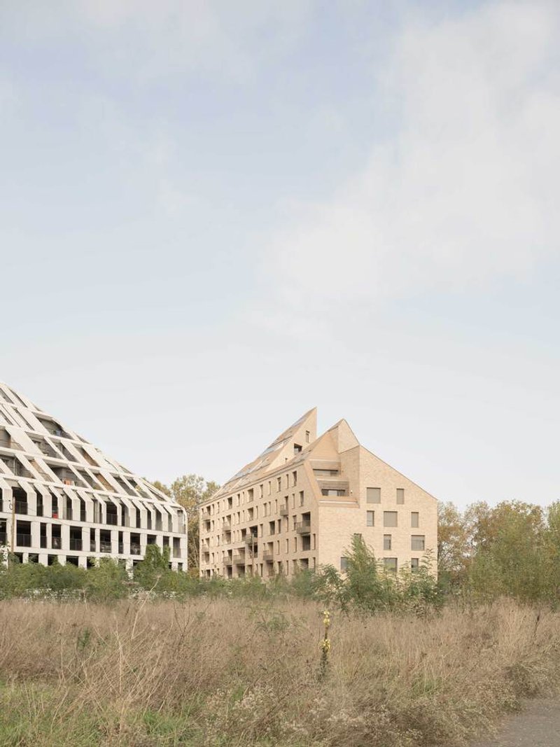 Gabled brick housing blocks rising above dry grassland with sparse vegetation in autumn