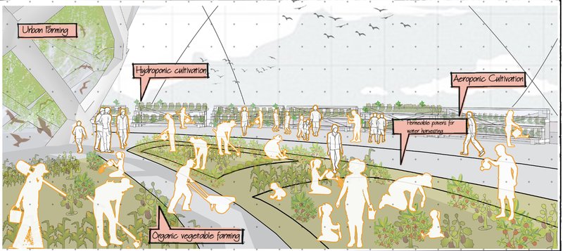 Hydroponic and aeroponic cultivation in a community-driven green space, fostering food sustainability.