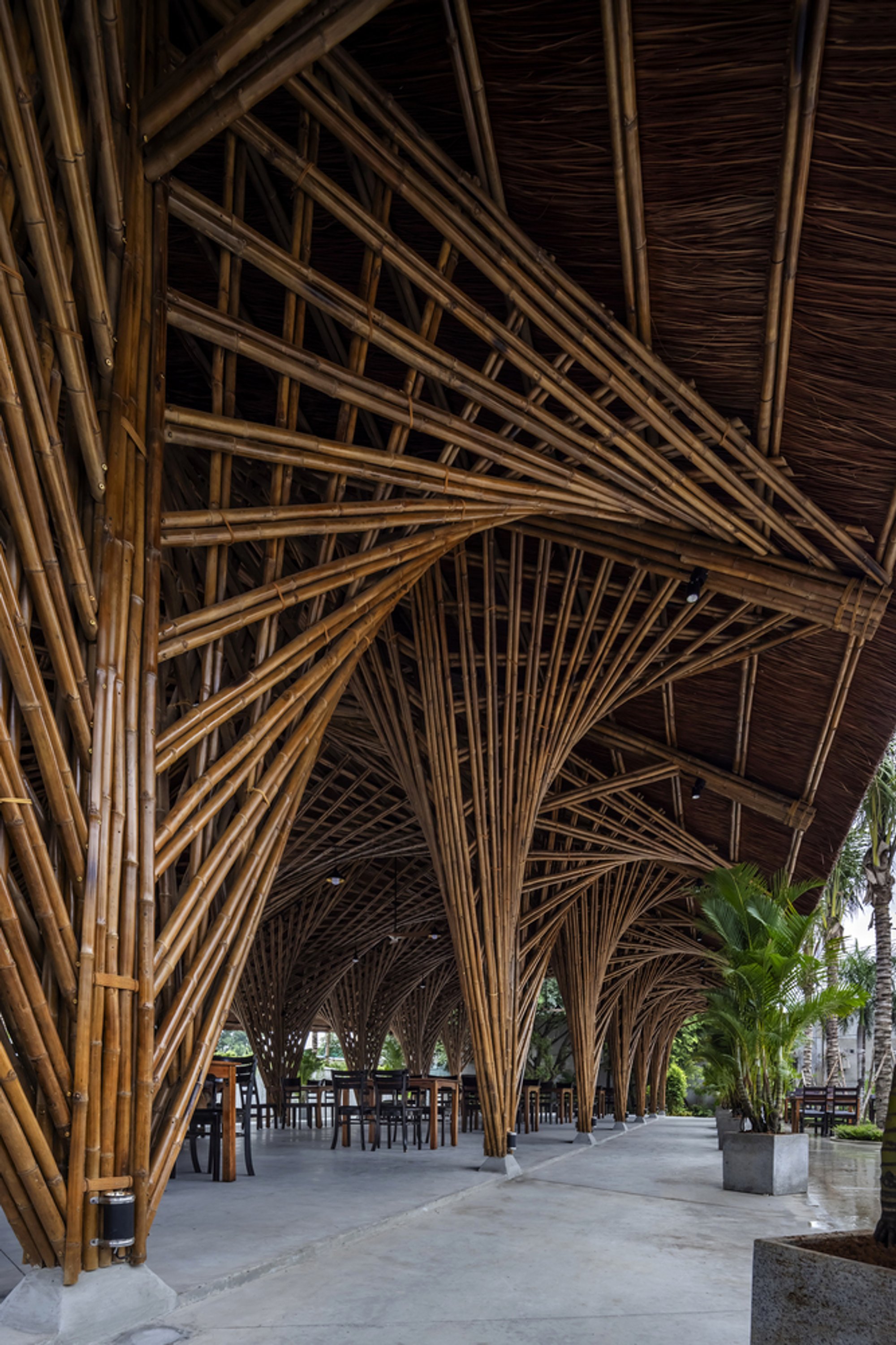 BambuBuild Wraps a Vietnamese Seafood Hall in 5,000 Pieces of Hyperbolic Bamboo