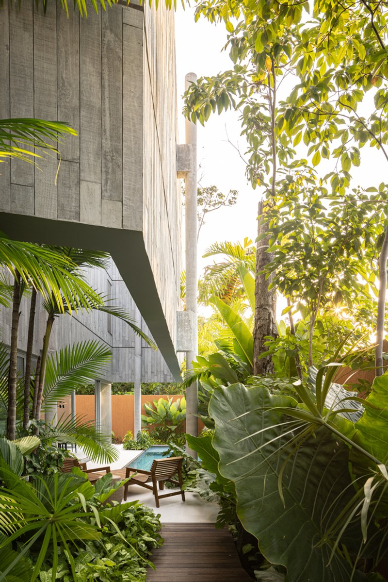 Courtyard view through palms and banana plants at golden hour with cantilevered concrete volumes above