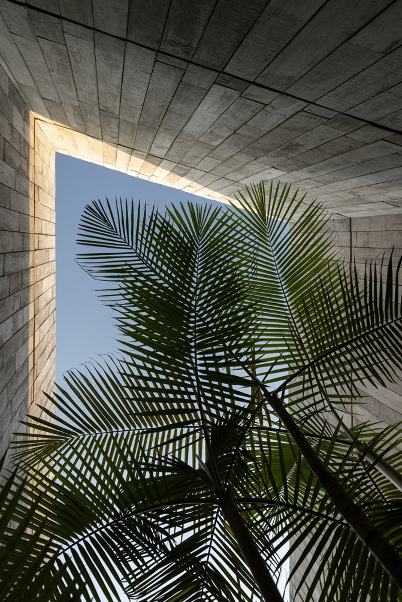 Upward view through a rectangular lightwell with concrete block walls framing palm fronds and sky