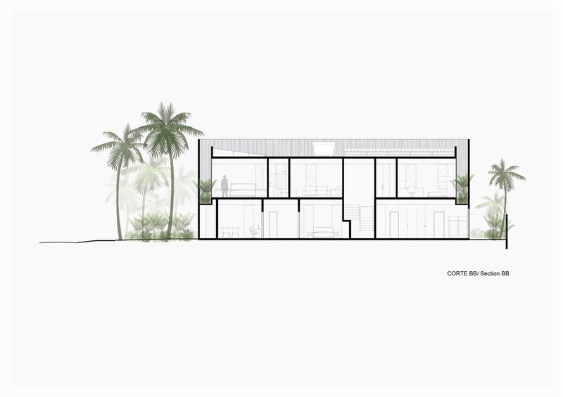 Building section drawing revealing two-story interior spaces with flat roof and flanking palm trees