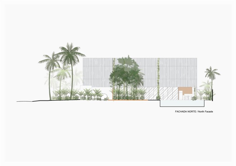 North facade elevation drawing with a central courtyard tree and palm trees flanking the composition