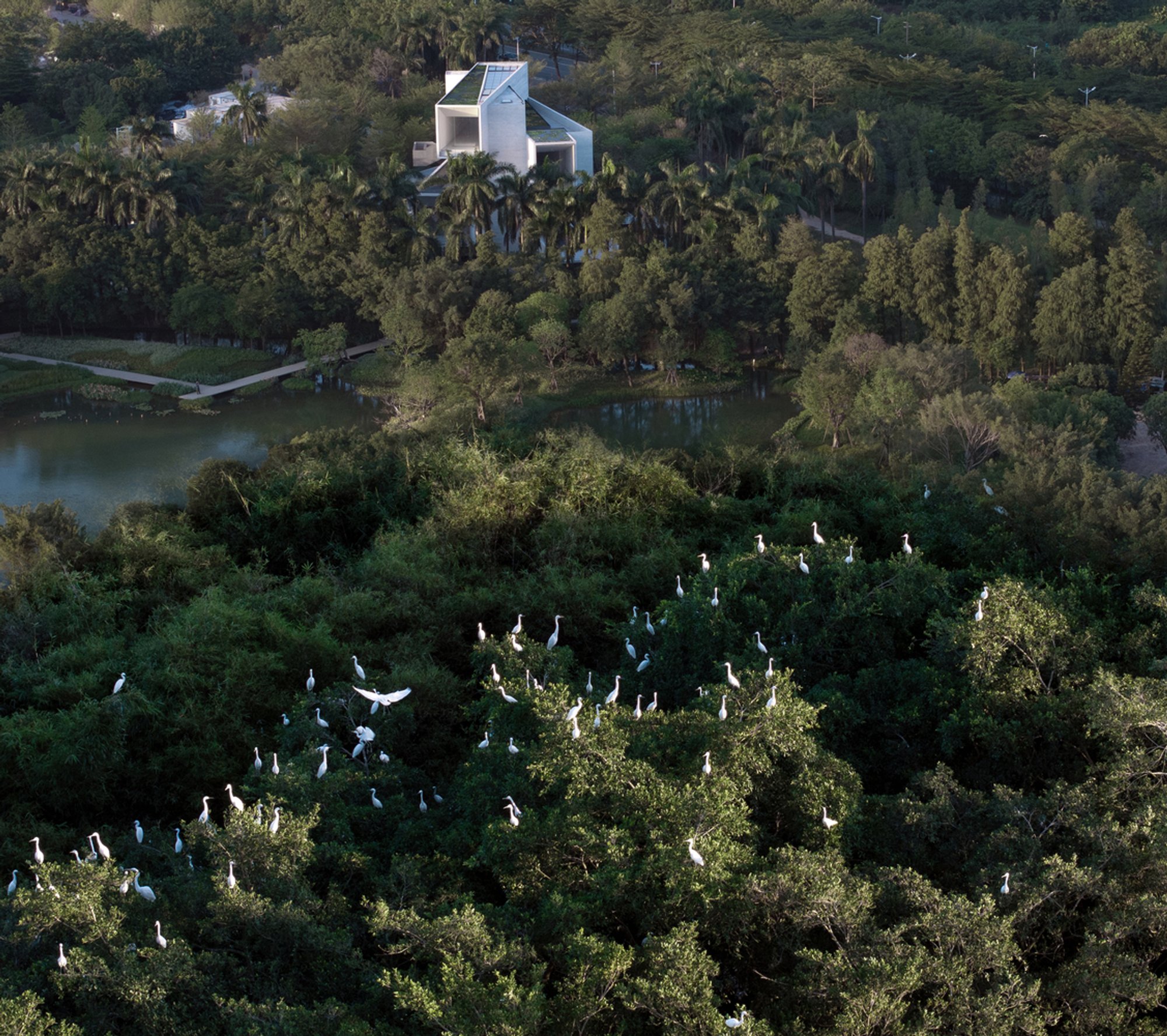 Studio Link-Arc Stacks Concrete Volumes into a Wetland Museum That Mimics Egret Nests