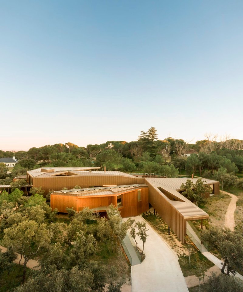 Elevated view of the curved timber and vertical slat wings extending into olive grove at dusk