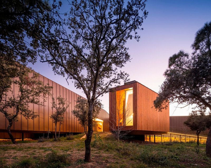 Exterior view of timber-clad volumes with tall corner glazing nestled among olive trees at dusk