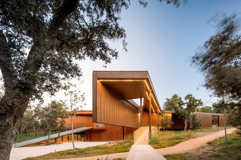Approach view of the cantilevered entrance canopy with vertical timber cladding framed by mature oak trees