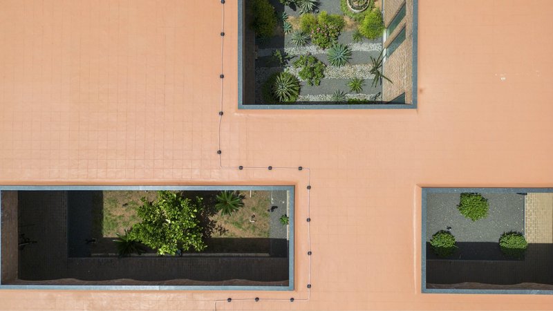 Aerial view of three rooftop openings with planted courtyards visible through the glazed apertures