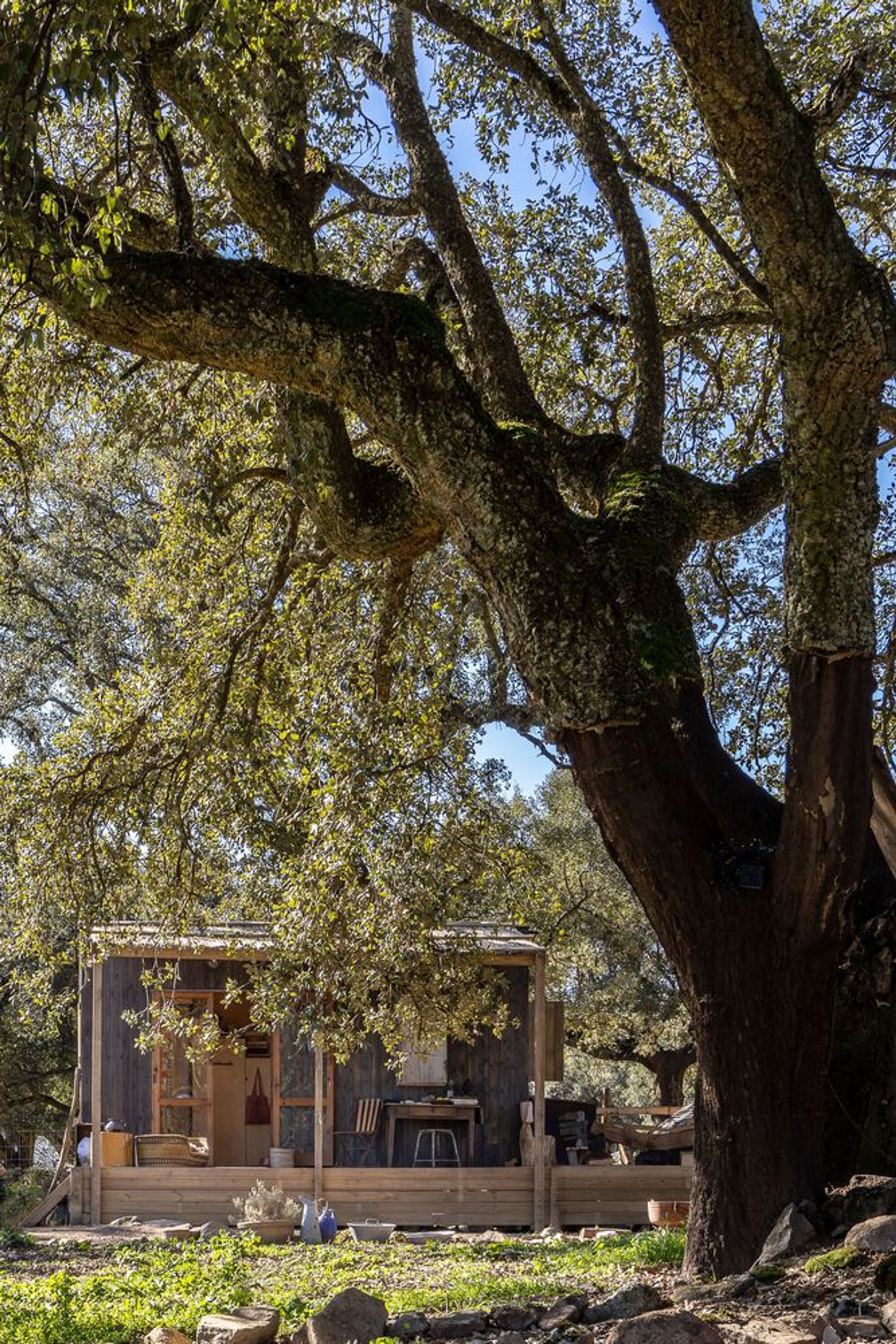 Madeiguincho Tucks a Timber Tiny House Beneath the Oaks of a Portuguese Garden