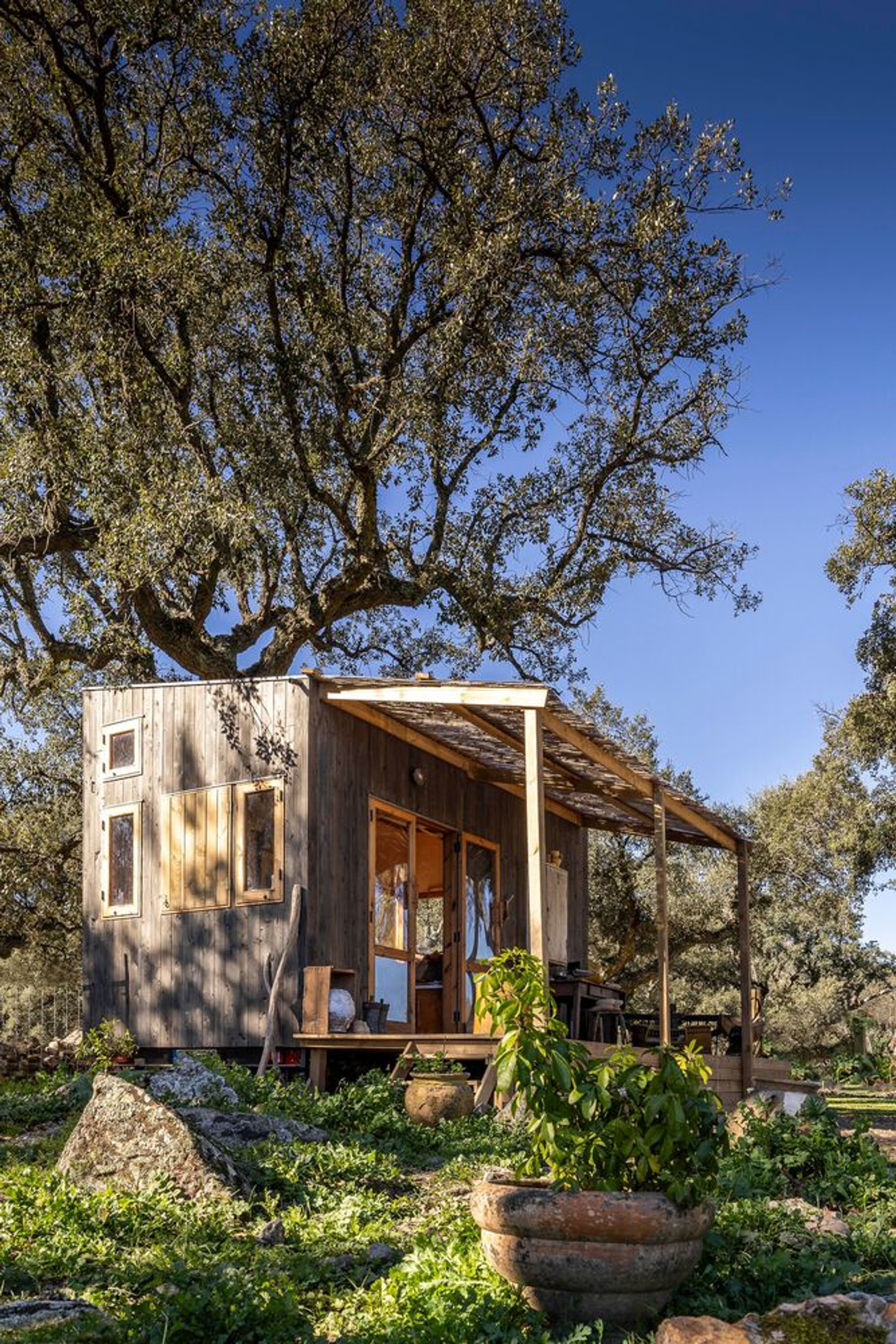 Brava House: A Seamless Integration of Tiny House Design with Nature in Portugal