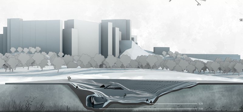 Immersive Cavities: A closer look at the flowing interiors of The Void, inviting exploration and reflection.