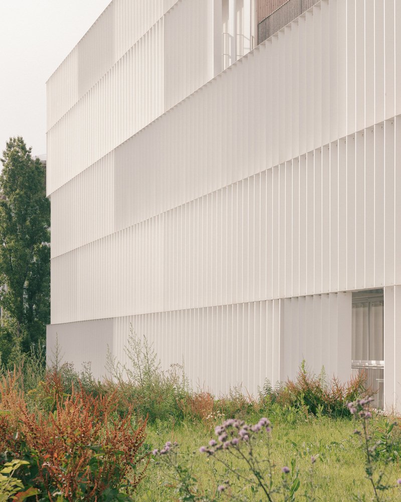 Corner detail of the staggered white louvered facade with wildflower planting at ground level