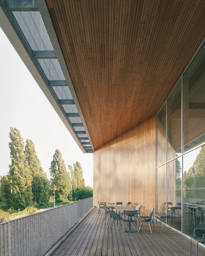 Covered terrace with timber decking, slatted wood ceiling and glass-screened metal mesh skylights above