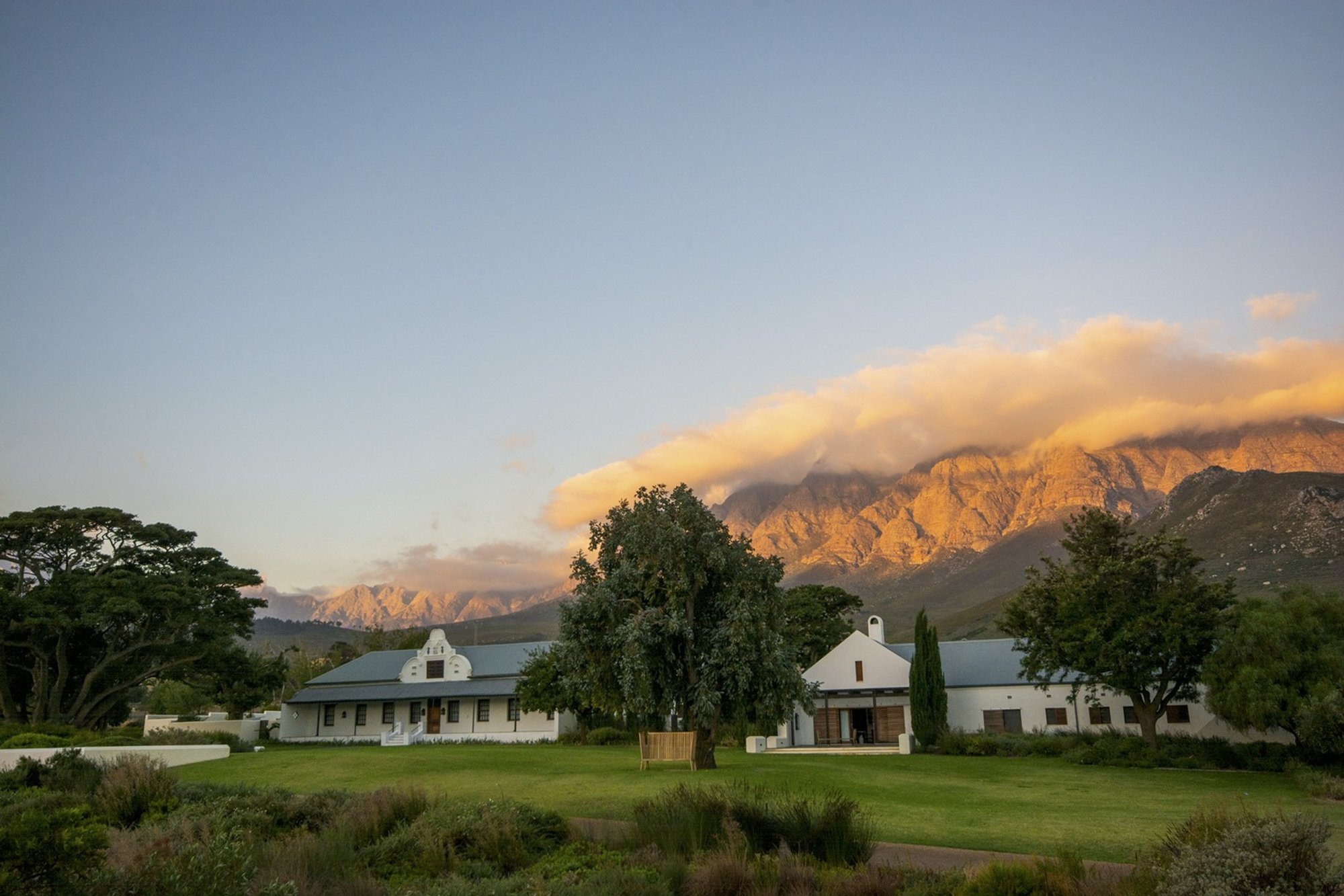 Meyer & Associates Roots a Winelands Guesthouse in Cape Dutch Memory and Mountain Light