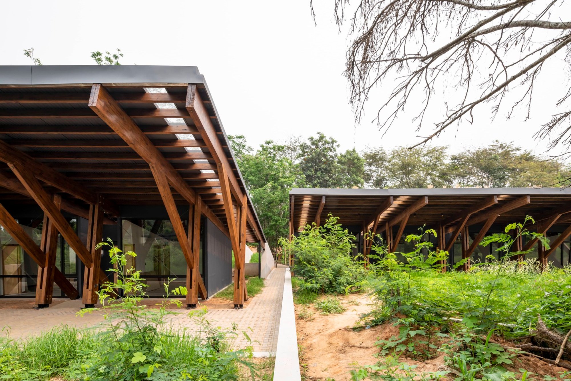 Sustainable Hotel Architecture: Yvyrupa Cabins in Cerrito by SD+A