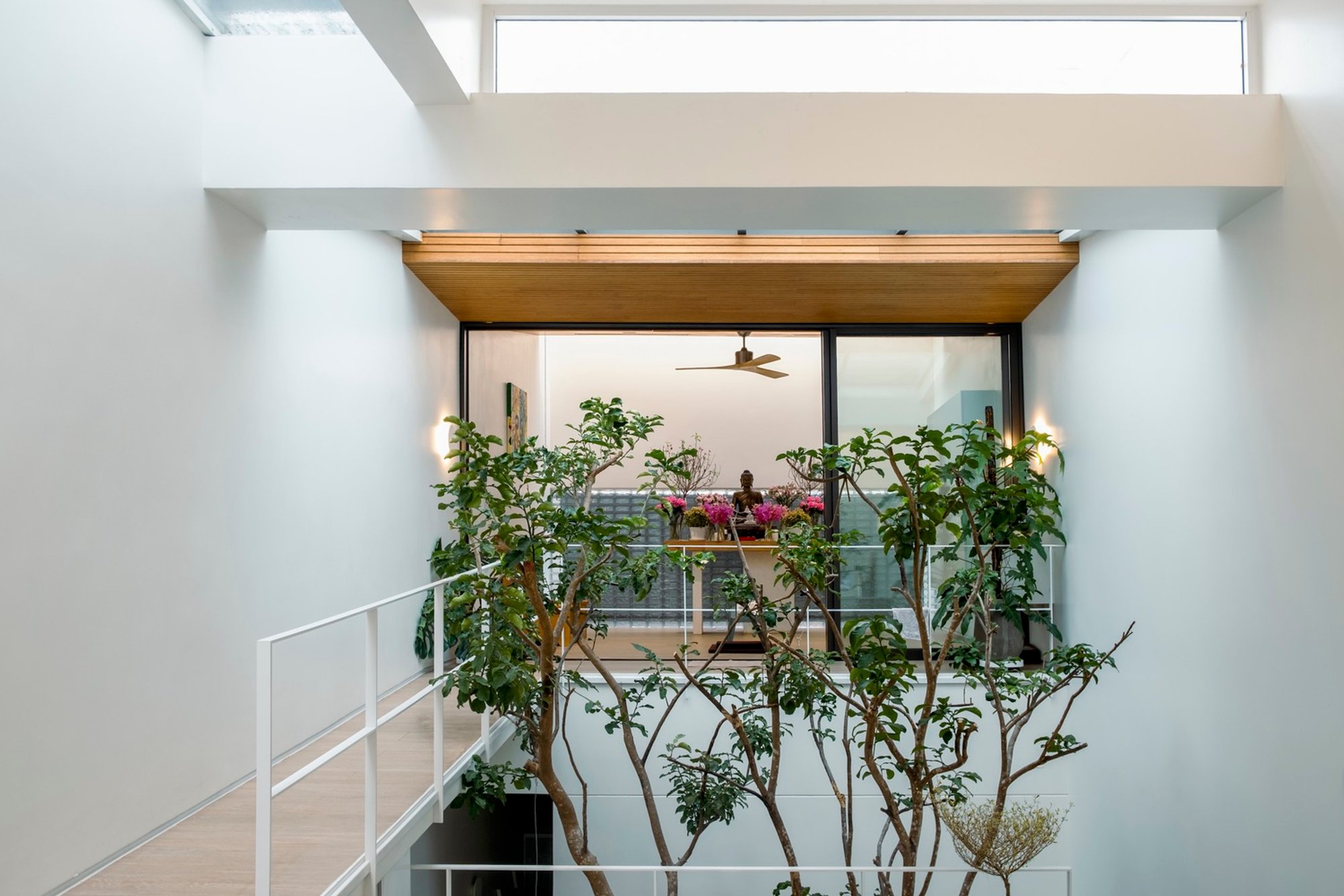 Green-Centric House Design: Bắp’s House by 90+2 Architects