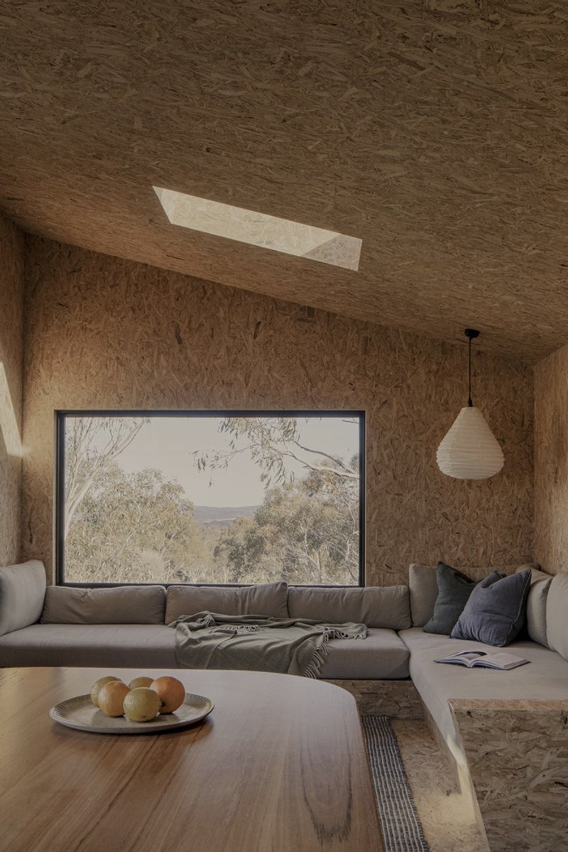 Living room with oriented strand board surfaces and a horizontal window framing the surrounding bushland