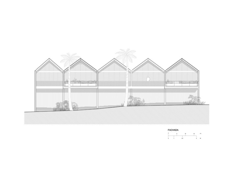 Elevation drawing of five gabled units with palm trees emerging from rooftop terraces