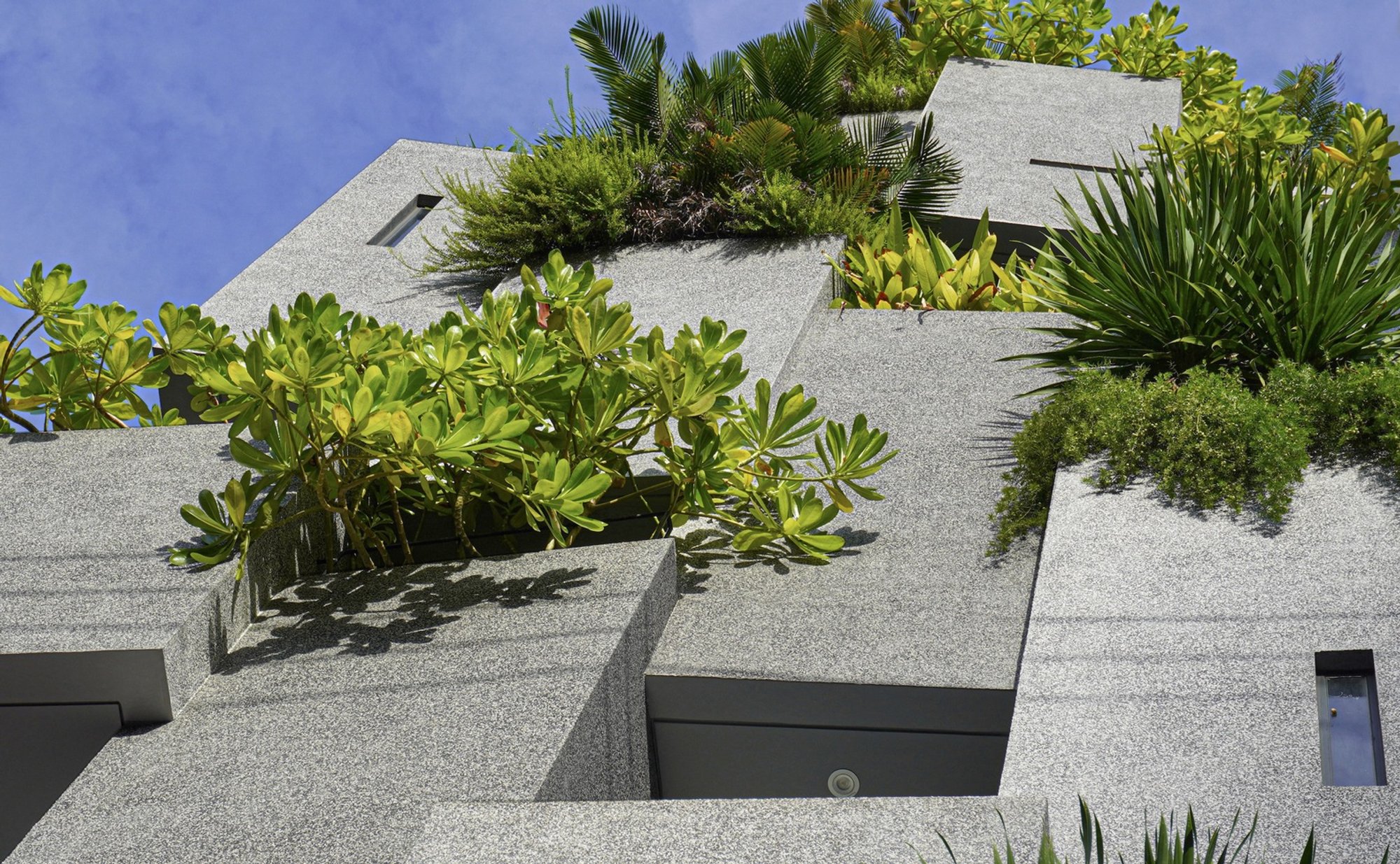 TAA DESIGN Stacks Brutalist Tree Blocks into a Lush Urban Lodge on Vietnam's Coast