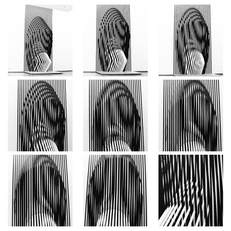 Optical Illusion in Motion – A dynamic interplay of 2D and 3D through black-and-white parametric design.