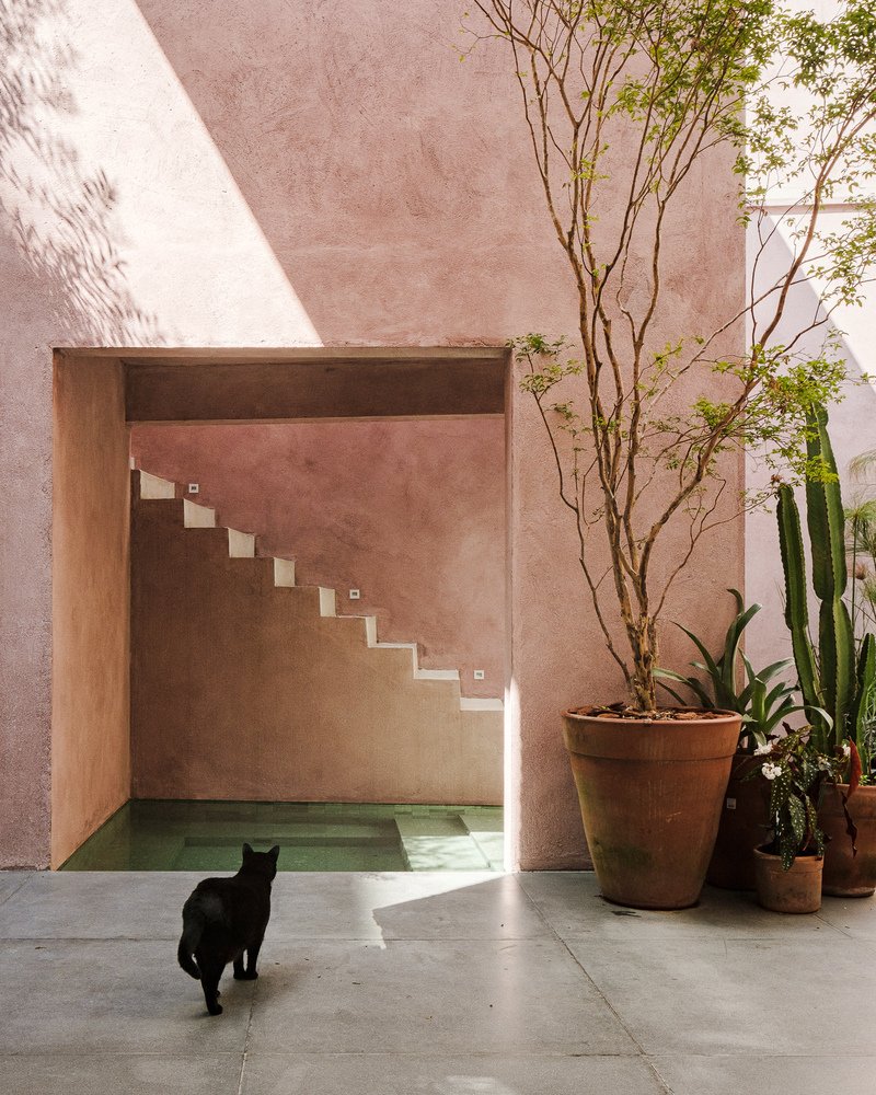 View of the courtyard staircase framed by a deep opening, with a black cat in the foreground