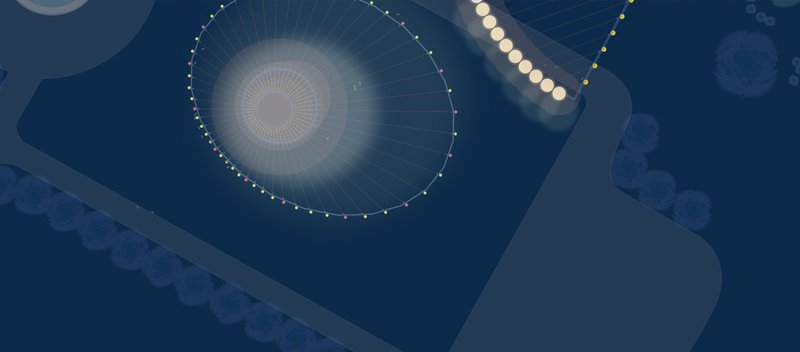 Aerial View of LIT! Project – A captivating nighttime view of the illuminated installations transforming the public park.