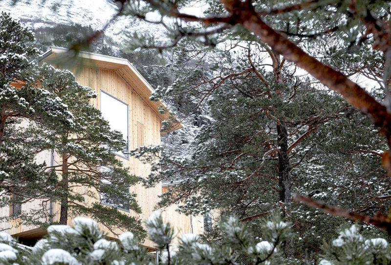 Timber-clad volume rising among snow-dusted pine branches in a mountain landscape