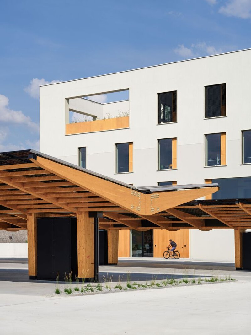 Timber pergola structure sheltering the entry with a cyclist passing through the courtyard
