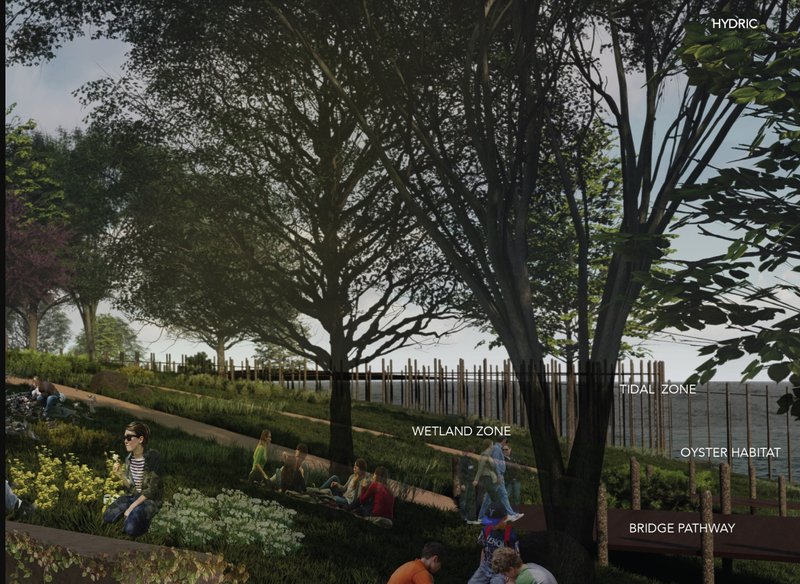 Wetland &amp; Tidal Zone – A resilient ecosystem blending nature and public space.