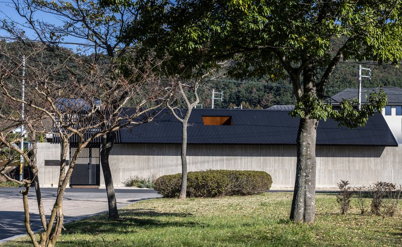Street view of the concrete and corrugated metal facade with bare trees in the foreground